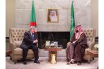 Saudi - Algerian projects to invest in chemicals and metals
