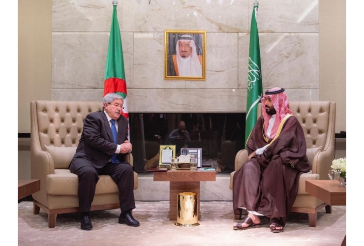 Saudi - Algerian projects to invest in chemicals and metals
 procurement