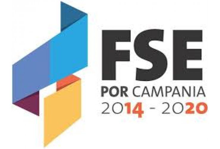 11 Employment FSE Resources to help 190 projects procurement