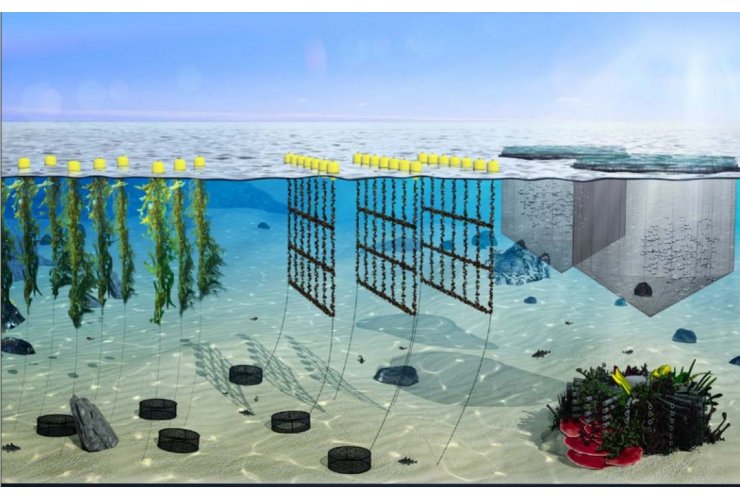 Proposals for research projects to support aquaculture procurement