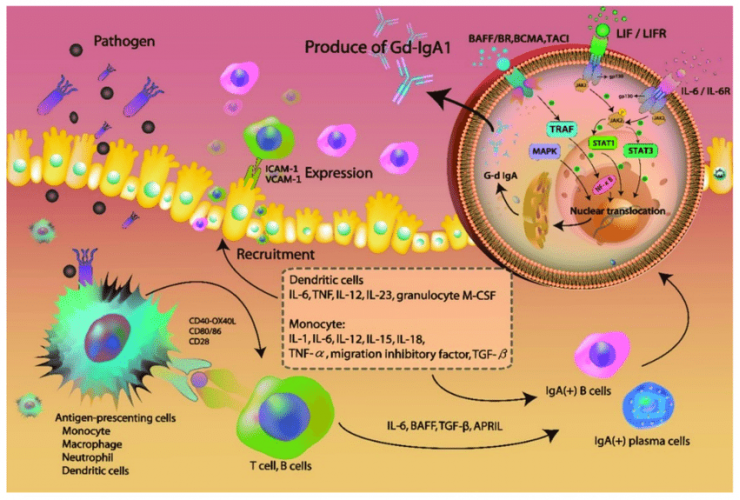 A new mechanism for activating the participation of the private sector procurement
