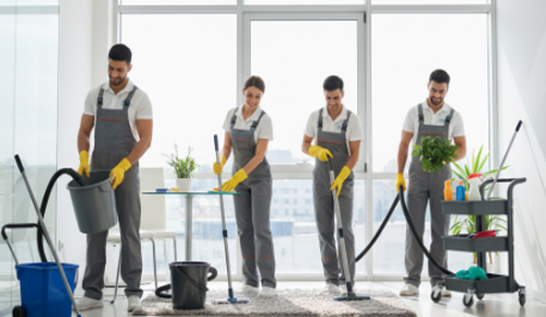 Pastrime Silvio shpk Wins Vlora Municipality Tender for Orikum Cleaning Services