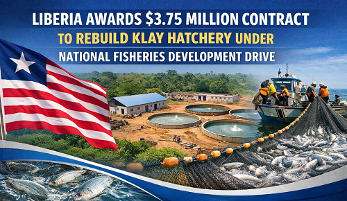 Liberia Awards $3.75 Million Contract to Rebuild Klay Hatchery Under National Fisheries Development Drive
