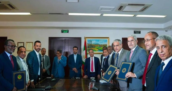 Mauritania Signs First Ever IPP Deal: A $300 Million Hybrid Solar-Wind Project to Accelerate National Energy Transition